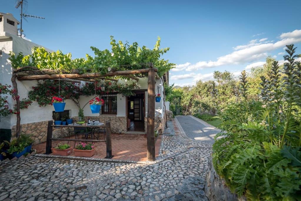 Al Agia - Molino Misqueres De Padul